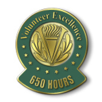 Volunteer Excellence - 650 Hours